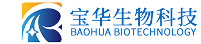 澳洲10网页版